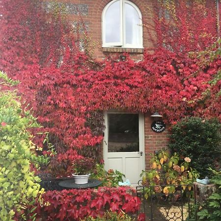 فيلا The Dovecote, Stoke Farthing Courtyard Broad Chalke المظهر الخارجي الصورة
