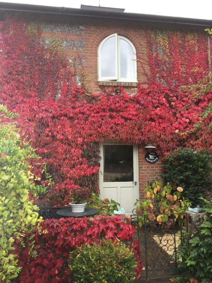فيلا The Dovecote, Stoke Farthing Courtyard Broad Chalke المظهر الخارجي الصورة